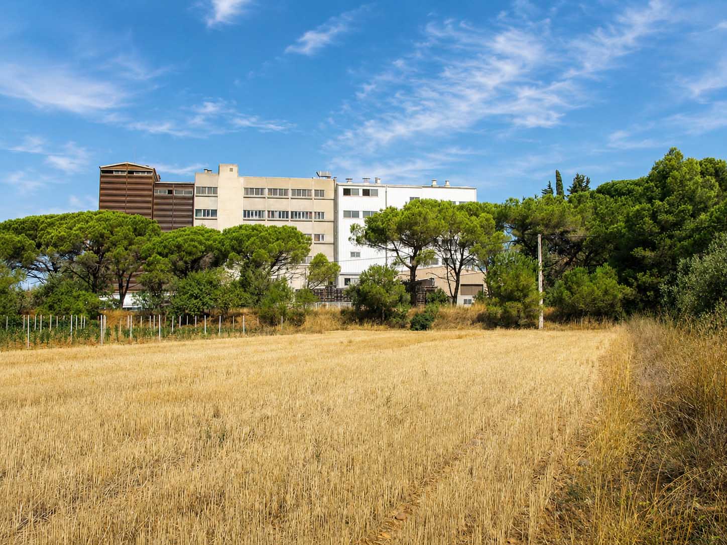 Photographie d'un bâtiment industriel avec un champ de blé au premier plan